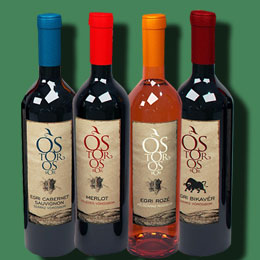 网页攻击器教程